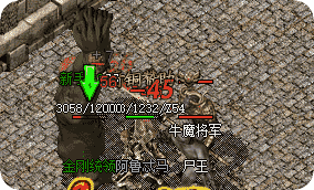 新开传奇sf最大网站