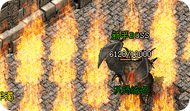 sf999 sf999