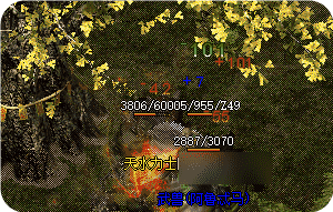 传奇新开